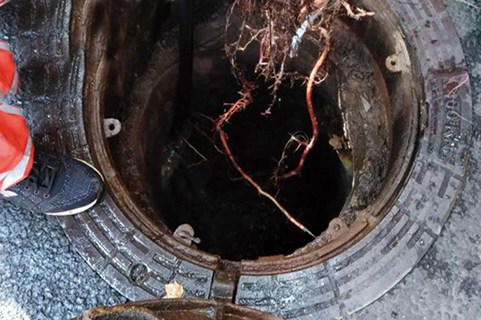 新和管道预处理